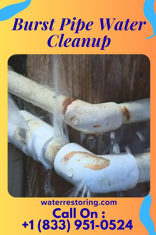 Burst Pipe Water Cleanup in Coudersport, PA