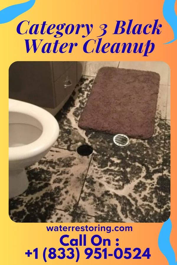 Category 3 Black Water Cleanup in Coudersport, PA