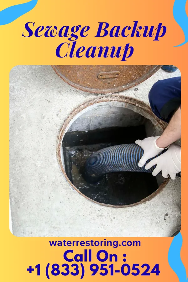 Sewage Backup Cleanup in Coudersport, PA