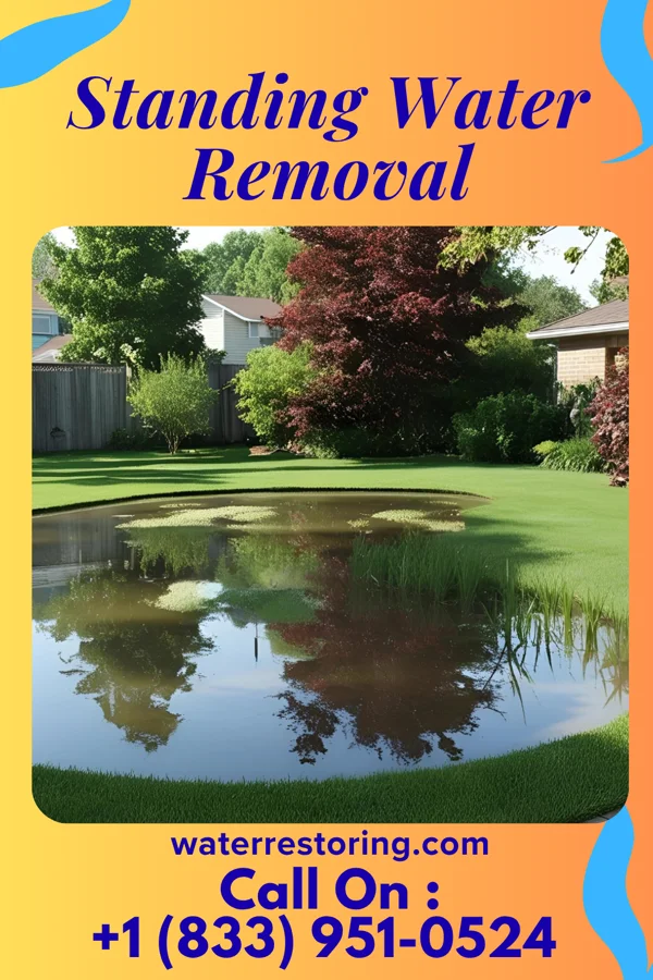 Standing Water Removal in Coudersport, PA